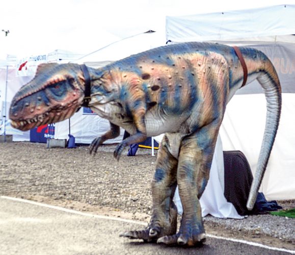 Barbour County Fair showcases new events News, Sports, Jobs The